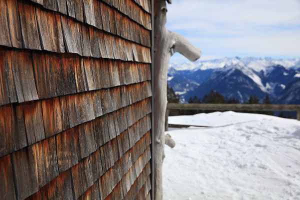 Cedar Siding Repair in Terre Haute