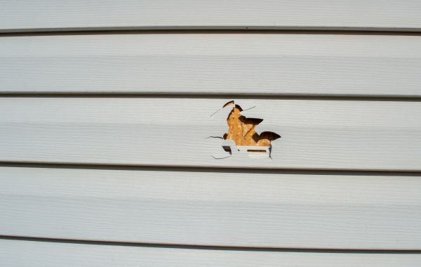 Siding Hole Patching in Terre Haute