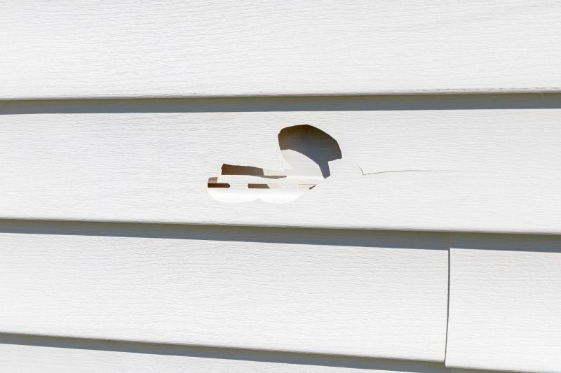 Vinyl Siding Repair - Image 2